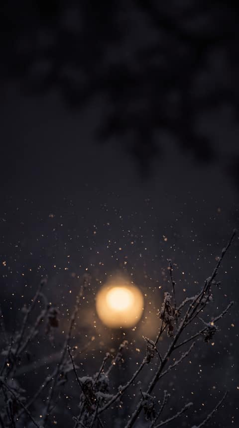 Lantern Snow